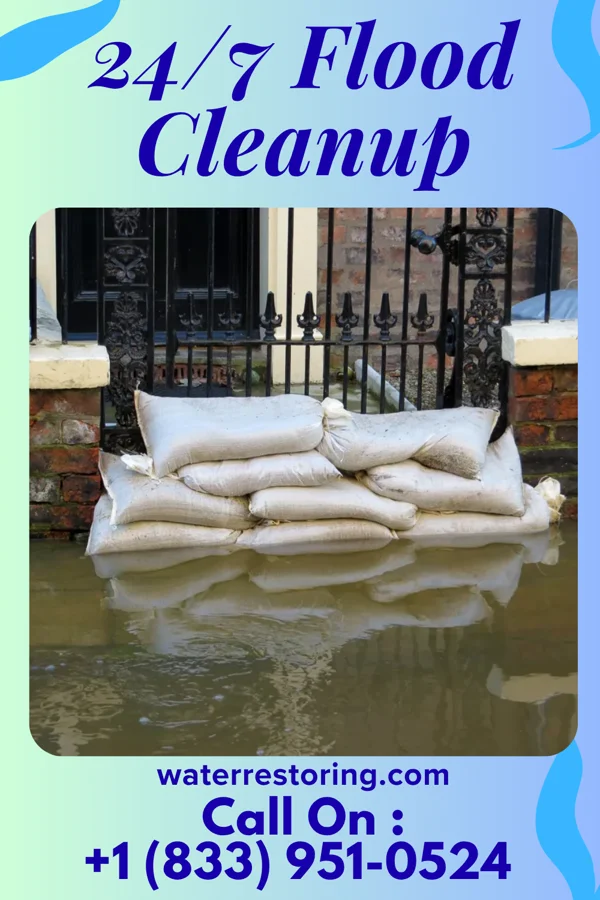 24/7 Flood Cleanup in Mayer, MN