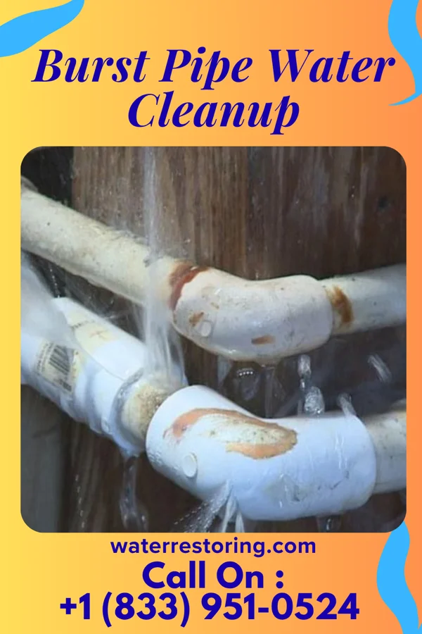 Burst Pipe Water Cleanup in Mayer, MN