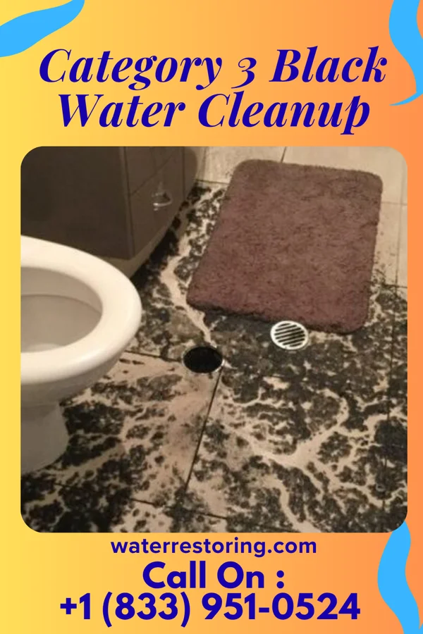 Category 3 Black Water Cleanup in Mayer, MN