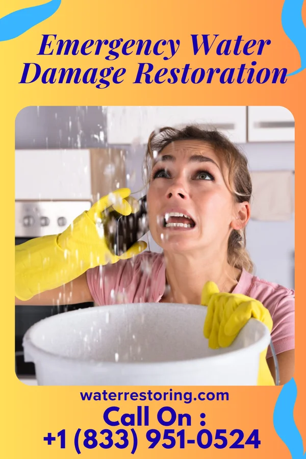 Emergency Water Damage Restoration in Mayer, MN