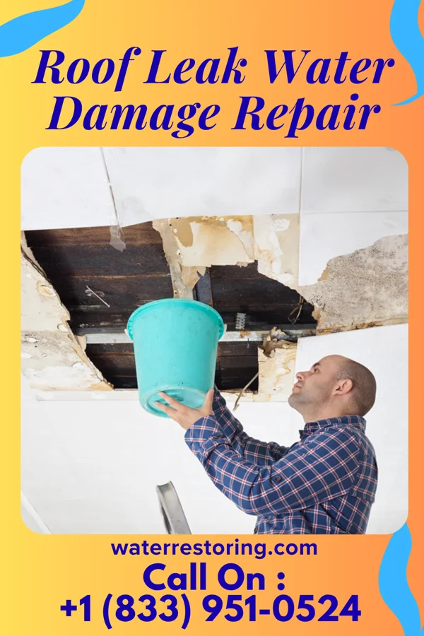 Roof Leak Water Damage Repair in Mayer, MN