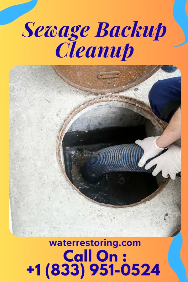 Sewage Backup Cleanup in Mayer, MN