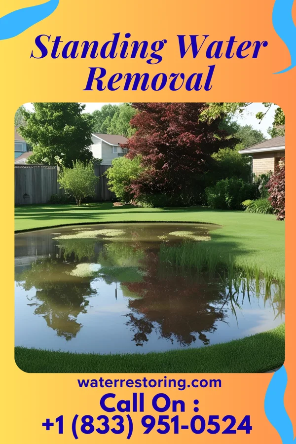 Standing Water Removal in Mayer, MN